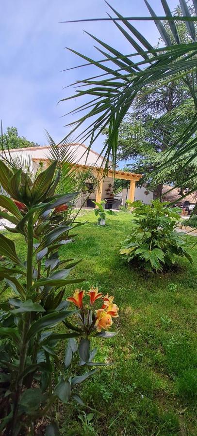 Gite Les 2 Cedres Villa Cardet Exterior foto